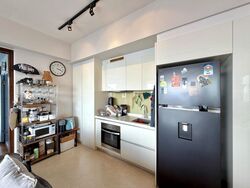 Spottiswoode Residences (D2), Condominium #576811721